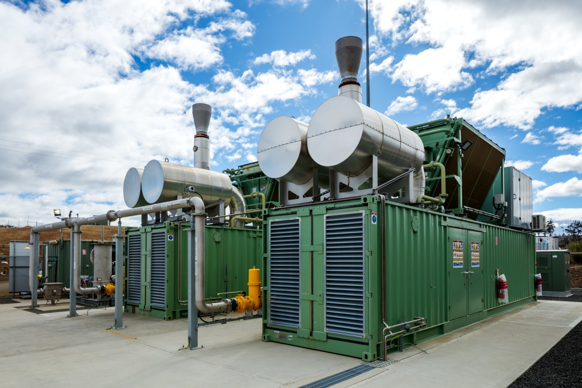 Copping Bioenergy Facility